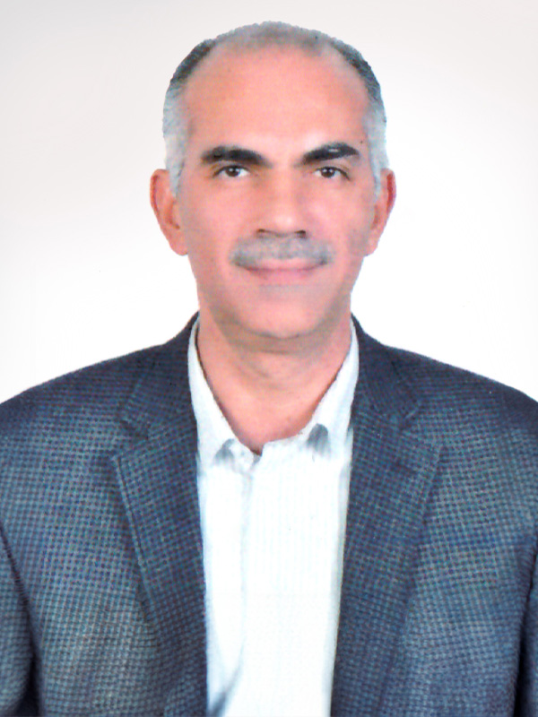 Tamer Sherif EFG Logistics Services CEO